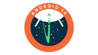 Android 14 Beta released for 9 smartphones - androguru