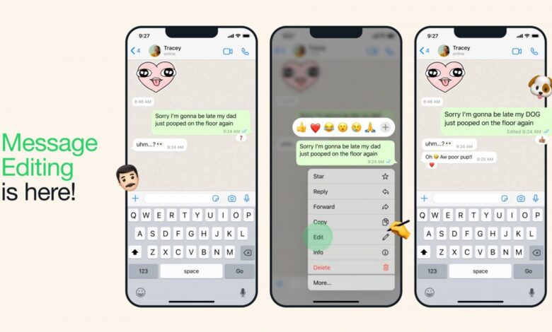 WhatsApp Edit Messages - androguru