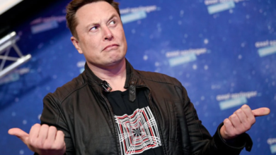 Elon Musk (CEO at Twitter, Tesla, Boring, SpaceX)