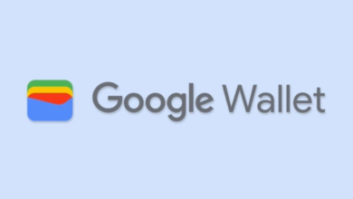 Google Wallet latest app update for Android - androguru